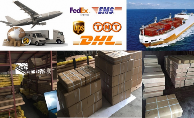 Bomba de Combustível Diesel 4954877 3090942 3417674 para Motor M11 N14 QSM11 4