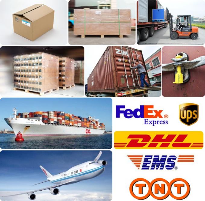 Junta da Cabeça do Cilindro DE08 D1146 para Escavadeira Ônibus Caminhão 65.03901-0070 400603-00119 65.03901-0058 18